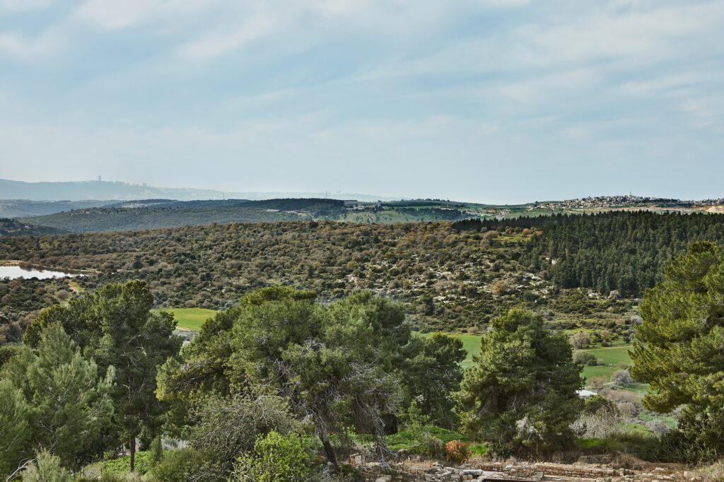 A panoramic view of rolling green fields, agricultural plots, and a distant town nestled among